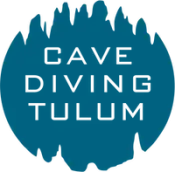 CDT LOGO