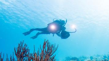 Underwater Photographer