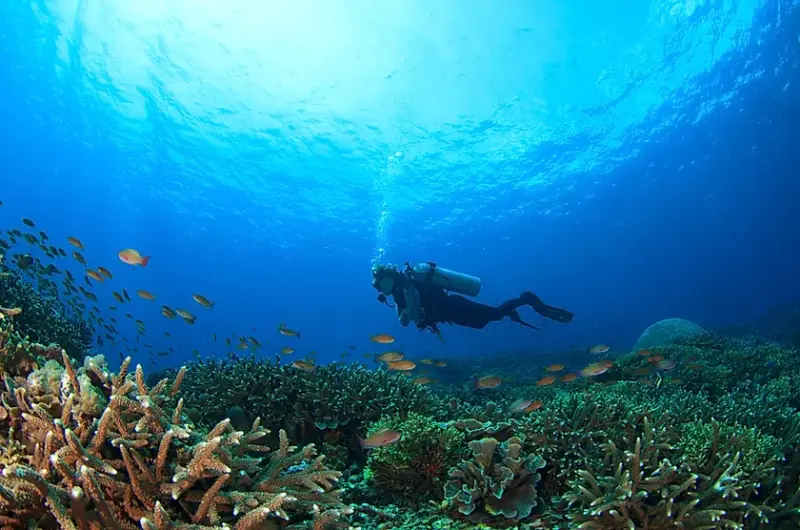 Self-Reliant/Solo Diver