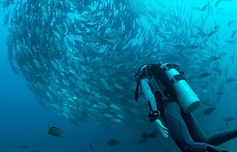 Dive Theory Virtual