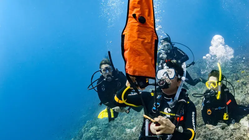 DSMB Diver