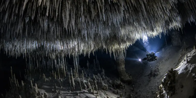 Intro to Cave