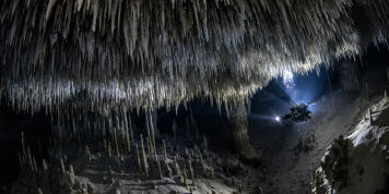 Intro to Cave